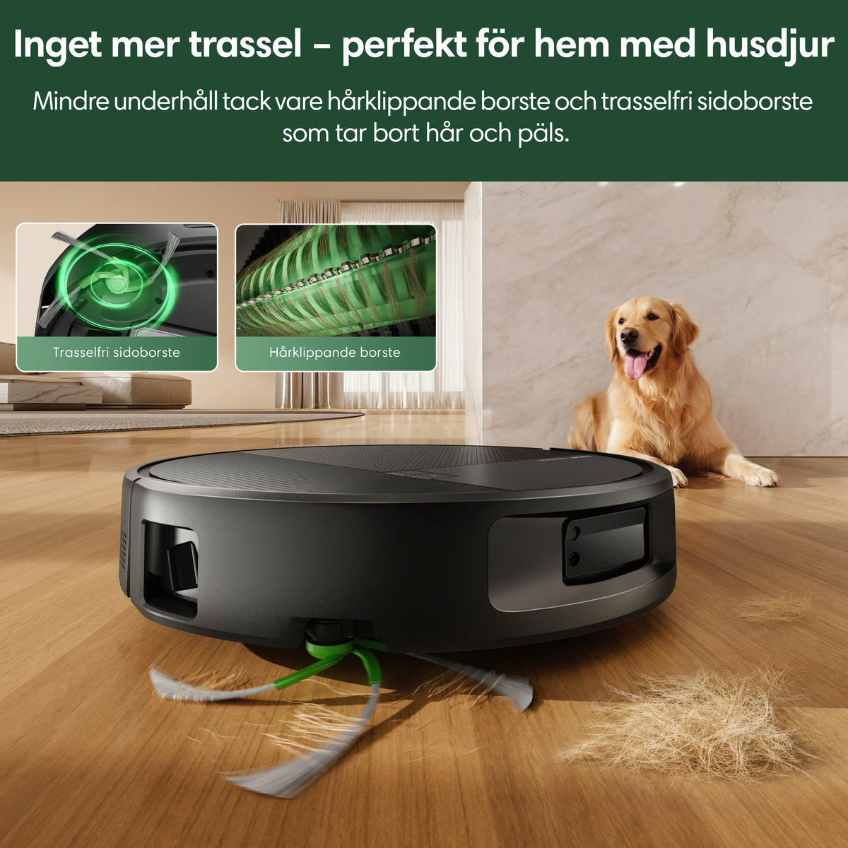 Roomba® Plus 615 Combo + Wash Only-dockningsstation